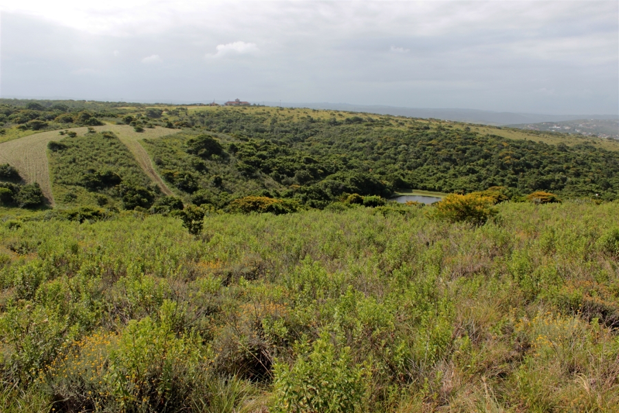 0 Bedroom Property for Sale in Khamanga Bay Eastern Cape